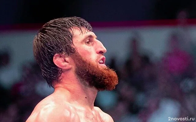 Анкалаев победил Перейру и стал новым чемпионом UFC в полутяжелом весе — Новости