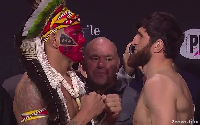 Анкалаев победил Перейру и стал новым чемпионом UFC в полутяжелом весе — Новости