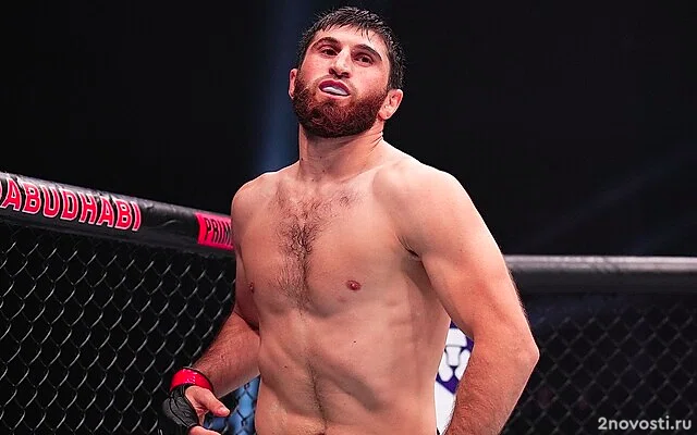 Анкалаев победил Перейру и стал новым чемпионом UFC в полутяжелом весе — Новости