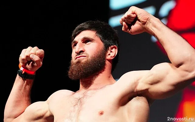 Анкалаев победил Перейру и стал новым чемпионом UFC в полутяжелом весе — Новости