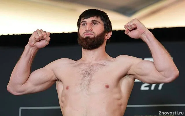 Анкалаев победил Перейру и стал новым чемпионом UFC в полутяжелом весе — Новости