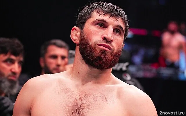 Анкалаев победил Перейру и стал новым чемпионом UFC в полутяжелом весе — Новости