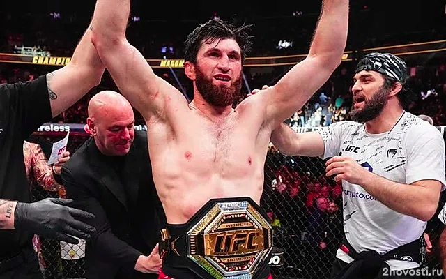 Анкалаев победил Перейру и стал новым чемпионом UFC в полутяжелом весе — Новости