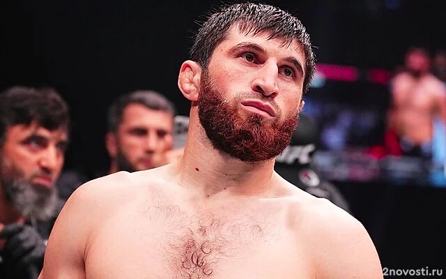 Анкалаев победил Перейру и стал новым чемпионом UFC в полутяжелом весе — Новости