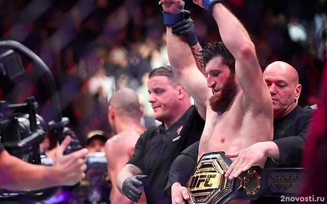 Анкалаев победил Перейру и стал новым чемпионом UFC в полутяжелом весе — Новости