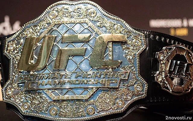 Анкалаев победил Перейру и стал новым чемпионом UFC в полутяжелом весе — Новости