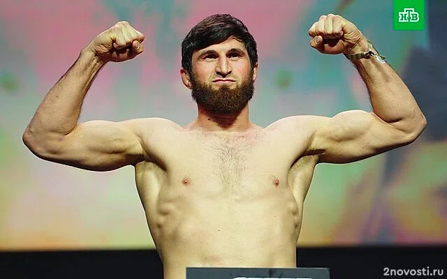 Анкалаев победил Перейру и стал новым чемпионом UFC в полутяжелом весе — Новости