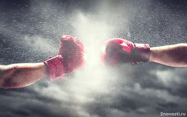 Анкалаев победил Перейру и стал новым чемпионом UFC в полутяжелом весе — Новости