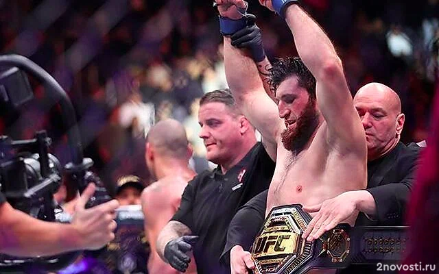 Анкалаев победил Перейру и стал новым чемпионом UFC в полутяжелом весе — Новости