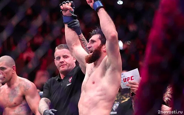 Анкалаев победил Перейру и стал новым чемпионом UFC в полутяжелом весе — Новости