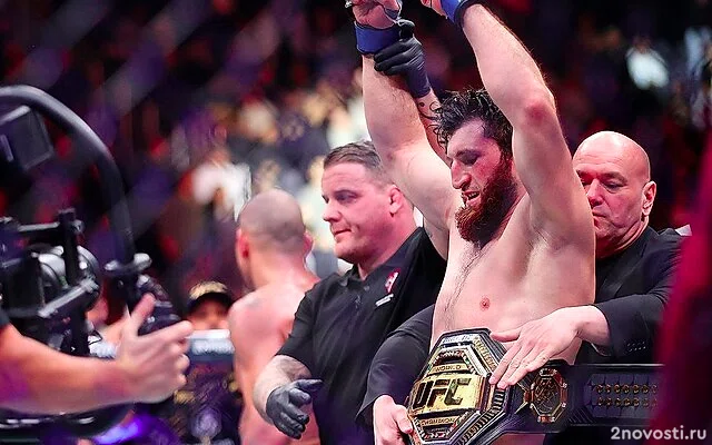 Анкалаев победил Перейру и стал новым чемпионом UFC в полутяжелом весе — Новости