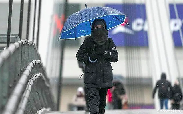 Тишковец: мартовские холода вернутся в Москву на следующих выходных — Новости