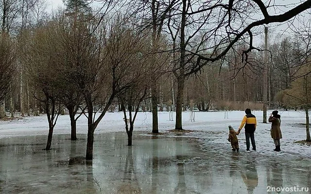 В Петербурге 10 марта будет тепло и немного дождливо — Новости