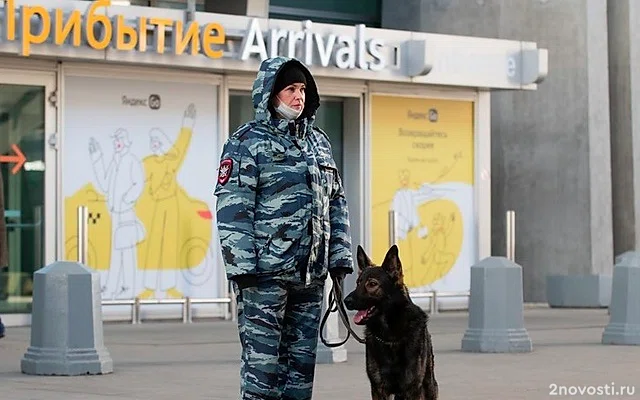 Пулково задерживает и отменяет рейсы в Москву — Новости