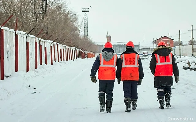 Более 300 мигрантов незаконно легализовала семья в Новосибирске — Новости