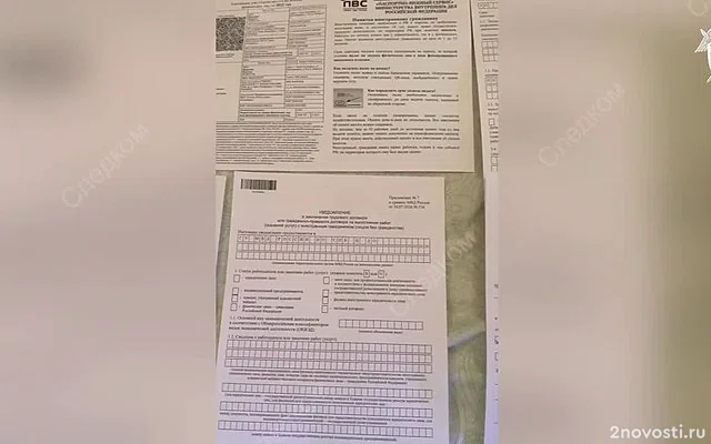 Экс-депутата и замглавы УВМ МВД Петербурга отдали под суд из-за нелегалов — Новости