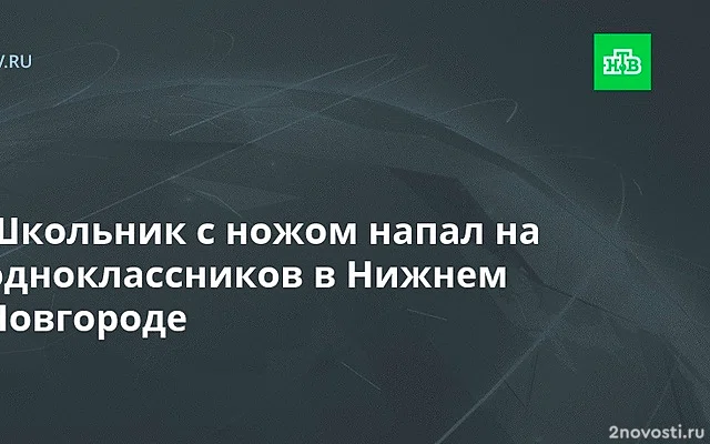 Ученик пырнул ножом двух одноклассников в школе в Нижнем Новгороде — Новости