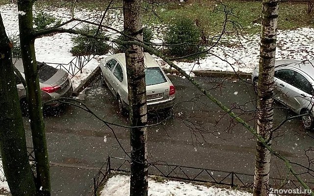 В Петербург придет похолодание с середины недели — Новости