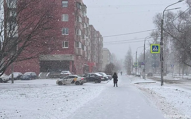 В Петербург придет похолодание с середины недели — Новости