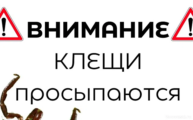 В Подмосковье из-за ранней весны проснулись клещи — Новости