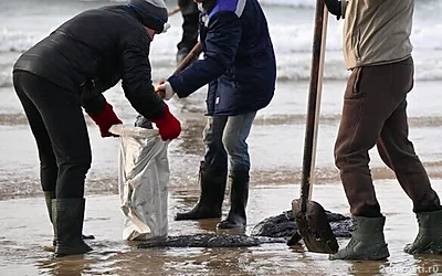 Волонтеры, очищающие пляжи Анапы от мазута, жалуются на головную боль и тошноту — Новости