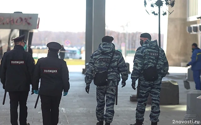 В аэропорту Пулково задержали ударившего бортпроводника — Новости