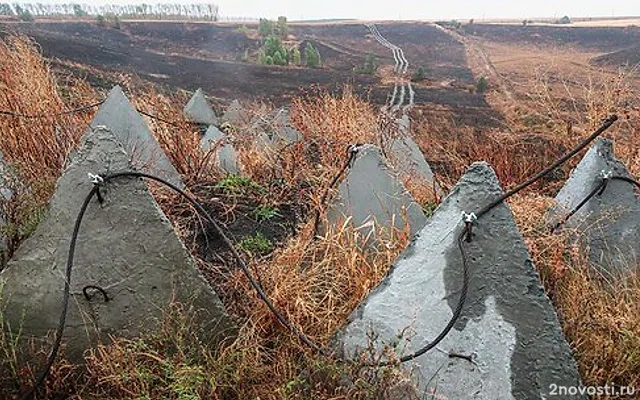 В Курской области завели дело о мошенничестве на 156 млн рублей — Новости