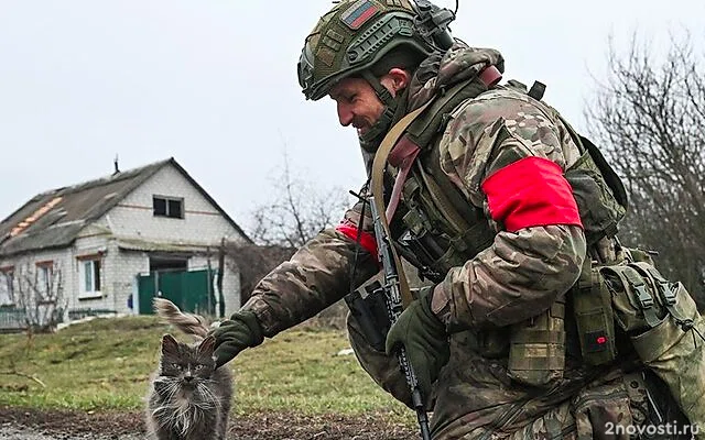 В Курской области взяли в плен 430 военных ВСУ — Новости