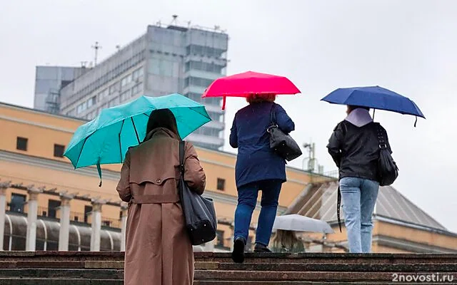 Тишковец: на Москву в пятницу обрушится девятибалльный шторм — Новости