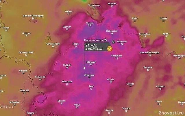Тишковец: на Москву в пятницу обрушится девятибалльный шторм — Новости