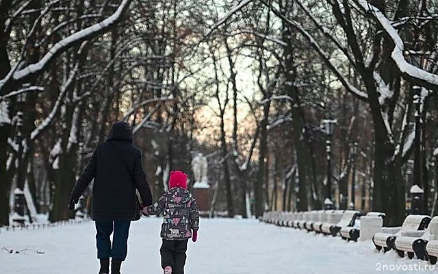 В Петербурге объявлен «жёлтый» уровень опасности — Новости