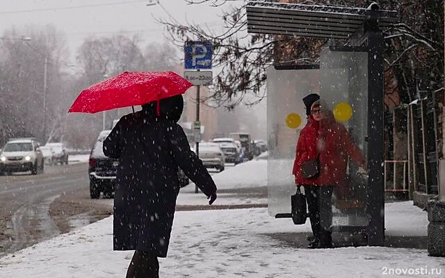 В Петербурге объявлен «жёлтый» уровень опасности — Новости