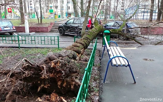 Собянин предупредил москвичей об опасной непогоде — Новости