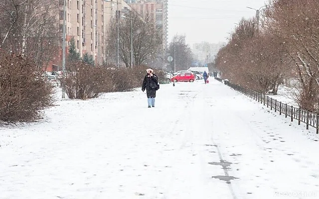 К вечеру в Петербурге может выглянуть солнце — Новости