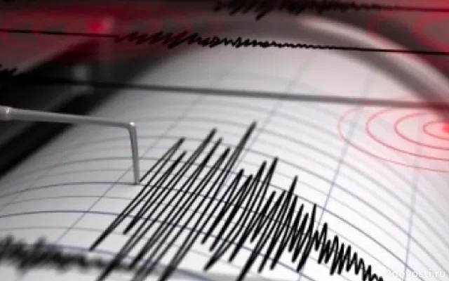 На Камчатке произошло землетрясение магнитудой 5,1 — Новости