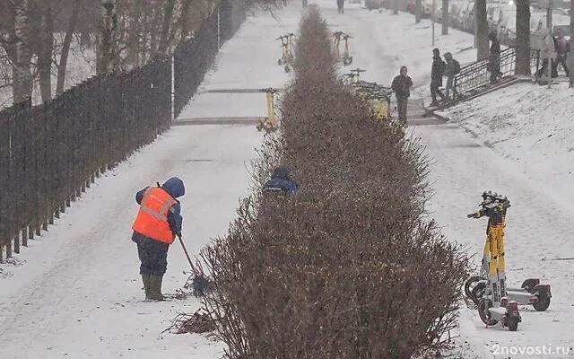 В середине марта в Петербург вернулась зима — Новости