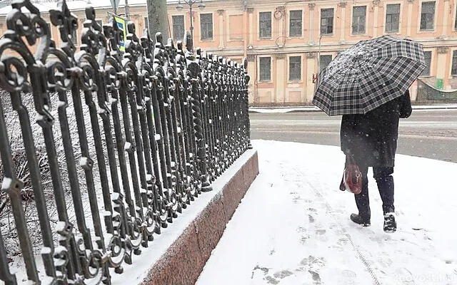 В середине марта в Петербург вернулась зима — Новости