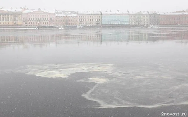 В середине марта в Петербург вернулась зима — Новости