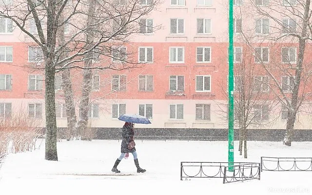 В середине марта в Петербург вернулась зима — Новости