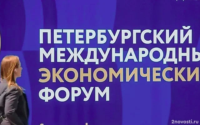 Стоимость участия в ПМЭФ в 2025 году составляет 990 тысяч рублей — Новости