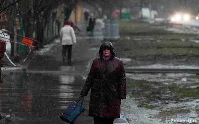 Парки «Сокольники» и «Фили» в Москве закрыли в преддверии шторма — Новости