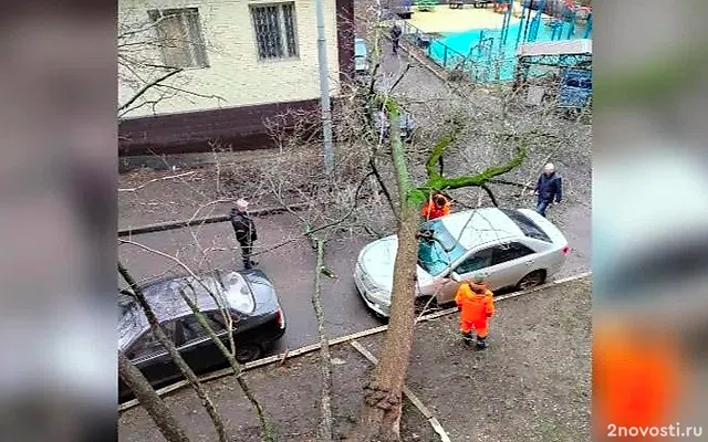 Комплекс городского хозяйства Москвы снял на видео ликвидацию последствий шторма — Новости