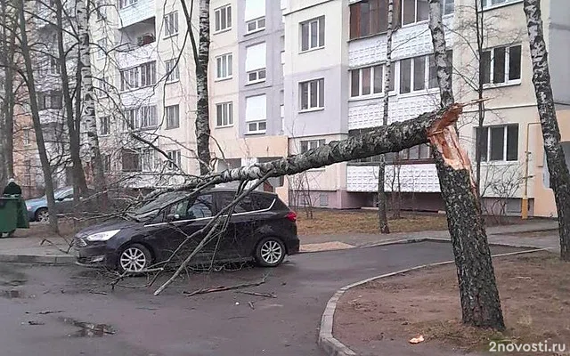 Комплекс городского хозяйства Москвы снял на видео ликвидацию последствий шторма — Новости