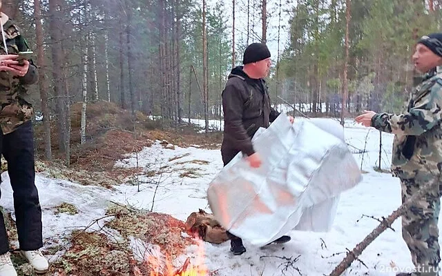 В Новгородской области пенсионерка два дня провела в лесу, питаясь снегом — Новости