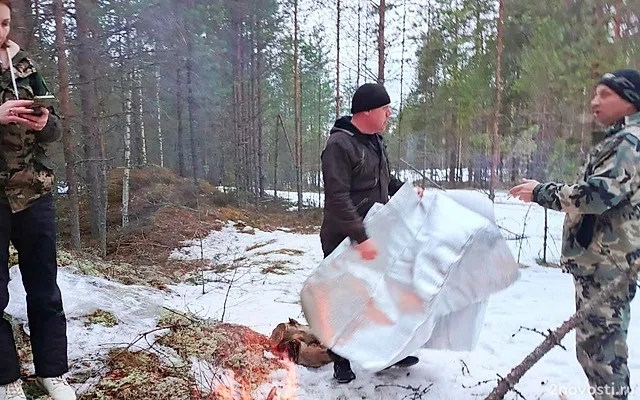 В Новгородской области пенсионерка два дня провела в лесу, питаясь снегом — Новости