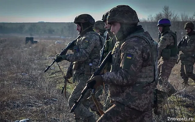 ТАСС: ВСУ перебросили под Красноармейск элитный спецбатальон «Птицы Мадьяра» — Новости