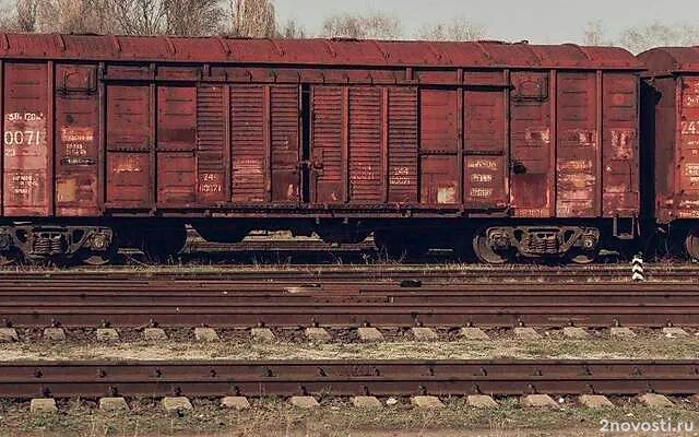 В Амурской области произошло столкновение поездов из-за схода вагонов — Новости