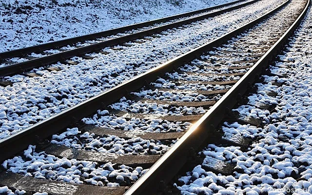 В Амурской области произошло столкновение поездов из-за схода вагонов — Новости