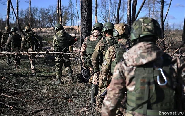 Саперы приступили к разминированию освобожденной территории Курской области — Новости