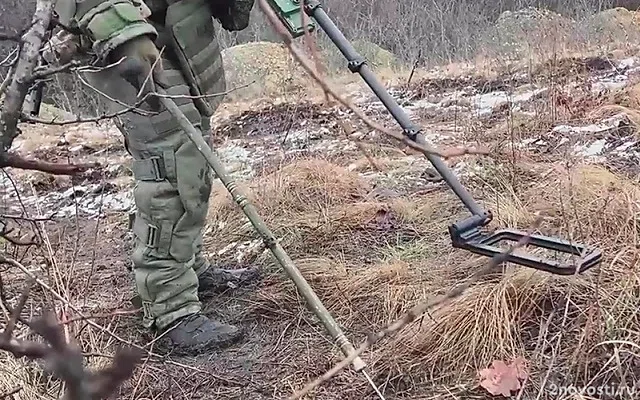 Саперы приступили к разминированию освобожденной территории Курской области — Новости